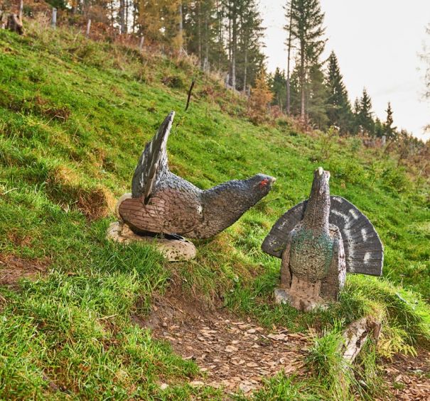 3D-Tiere in allen Größen und Schwierigkeitsgraden im Bogenpark